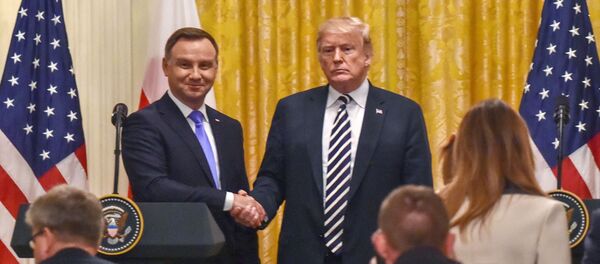 Встреча Президента США Дональда Трампа с Президентом Польши Анджеем Дудой  - Sputnik Литва