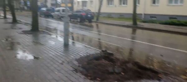 Ураганный ветер в Паланге Ураганный ветер в Паланге - Sputnik Lietuva