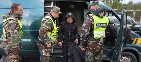 Lietuvos pasieniečiai sulaikė latvį, vežantį migrantus iš Vietnamo - Sputnik Lietuva