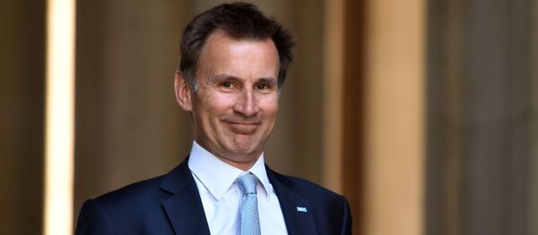 Глава МИД Великобритании Джереми Хант, архивное фото - Sputnik Литва