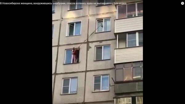 В Новосибирске женщина, вооружившись швабрами, спасла котенка, едва не выпавшего с 5-го этажа - Sputnik Lietuva