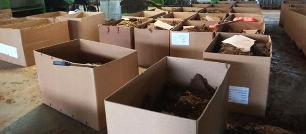 tabako sandėlis tabako sandėlis - Sputnik Lietuva