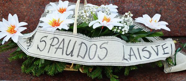 Митинг против ограничения доступа журналистов к данным Центра Регистраций Митинг против ограничения доступа журналистов к данным Центра Регистраций - Sputnik Lietuva