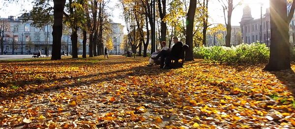 Осень в Вильнюсе Осень в Вильнюсе - Sputnik Lietuva