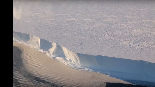Nufilmuotas Antarkties ledynų dainavimas  - Sputnik Lietuva