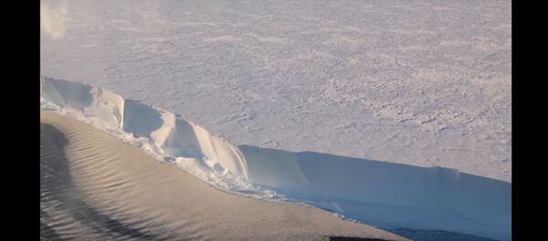 Nufilmuotas Antarkties ledynų dainavimas  - Sputnik Lietuva