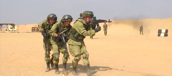 Rusijos ir Egipto desantininkai surengė bendras pratybas Rusijos ir Egipto desantininkai surengė bendras pratybas - Sputnik Lietuva