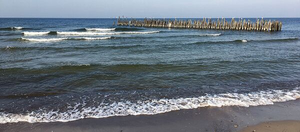 Baltijos jūra Baltijos jūra - Sputnik Lietuva