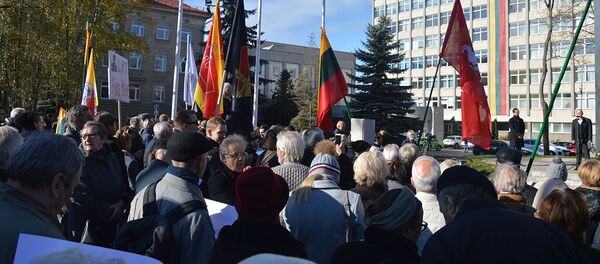 Митинг у ЛРТ - Sputnik Литва