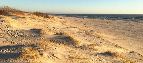 Jūra Jūra - Sputnik Lietuva