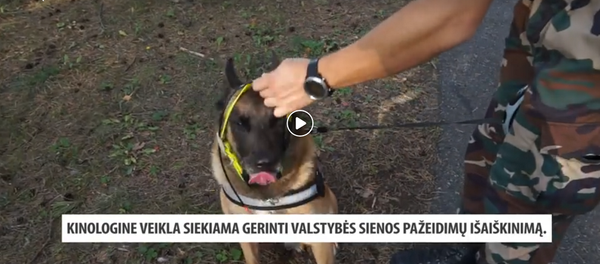 Служба охраны государственной границы приобрела 11 щенков Служба охраны государственной границы приобрела 11 щенков - Sputnik Lietuva