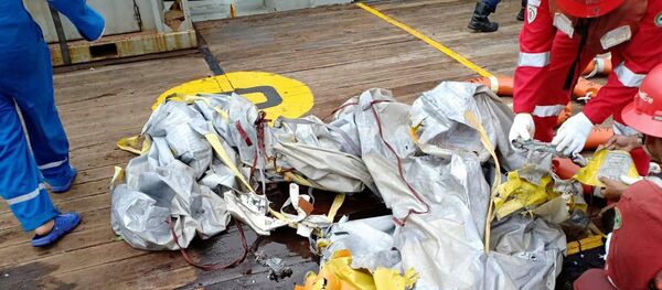 Обломки Boeing 737, разбившегося в Индонезии, 29 октября 2018 года - Sputnik Литва