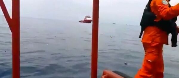 Кадры с места крушения Boeing 737 в Индонезии - Sputnik Литва