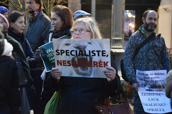 Митинг против ювенальной юстиции в Вильнюсе Митинг против ювенальной юстиции в Вильнюсе - Sputnik Lietuva
