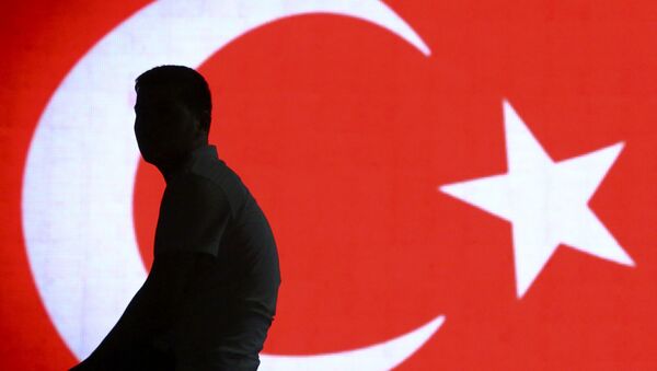 Силуэт мужчины на фоне турецкого флага в аэропорту Стамбула - Sputnik Lietuva