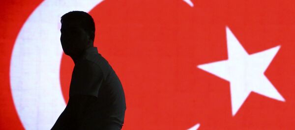 Силуэт мужчины на фоне турецкого флага в аэропорту Стамбула Силуэт мужчины на фоне турецкого флага в аэропорту Стамбула - Sputnik Lietuva