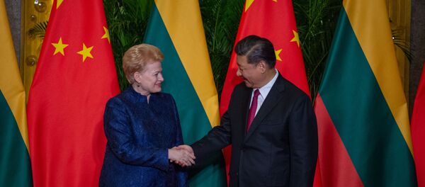 Президент Литвы Даля Грибаускайте и глава Китая Си Цзиньпин, 5 ноября 2018 года Президент Литвы Даля Грибаускайте и глава Китая Си Цзиньпин, 5 ноября 2018 года - Sputnik Литва