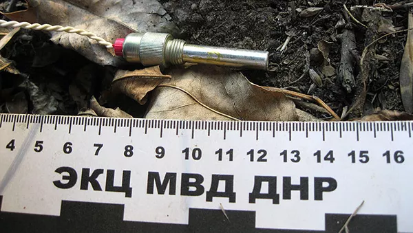 DLR policija raso sprogstamąjį įtaisą ant elektros perdavimo linijų atramų - Sputnik Lietuva