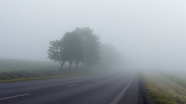 Туман и дорога, архивное фото - Sputnik Lietuva