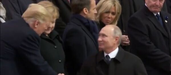 Путин с Трампом пожали руки Путин с Трампом пожали руки - Sputnik Литва