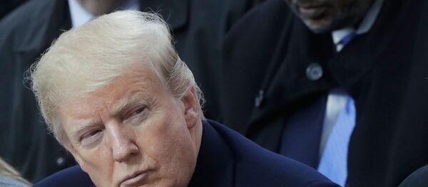 Мероприятия в Париже в честь 100-летия окончания I мировой войны Мероприятия в Париже в честь 100-летия окончания I мировой войны - Sputnik Lietuva