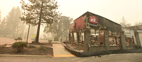 Gaisras Paradaiso mieste, Kalifornija Gaisras Paradaiso mieste, Kalifornija - Sputnik Lietuva