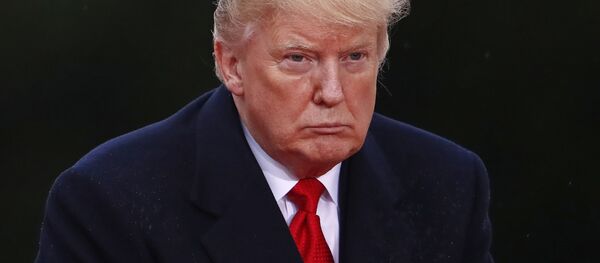 Дональд Трамп на 100-летии окончания первой мировой войны в Париже Дональд Трамп на 100-летии окончания первой мировой войны в Париже - Sputnik Lietuva