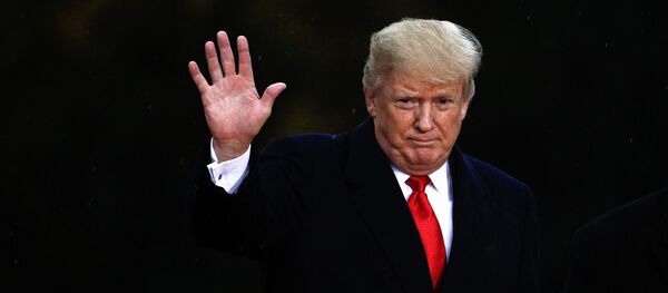 Дональд Трамп на 100-летии окончания первой мировой войны в Париже - Sputnik Литва