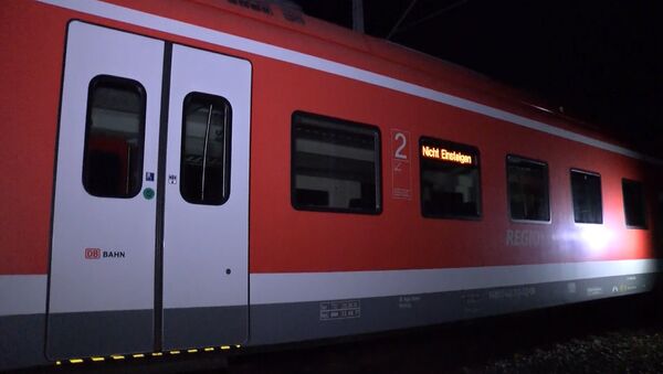 Мужчина с топором напал на пассажиров поезда в Германии. Кадры с места ЧП - Sputnik Lietuva