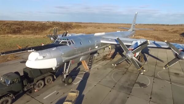 Минобороны России опубликовало архивные кадры полета Ту-95 - Sputnik Литва