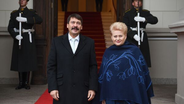 Президент Венгрии Янош Адер и президент Литвы Даля Грибаускайте - Sputnik Литва