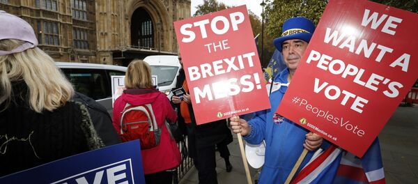 Сторонники и противники Brexit с плакатами у Вестминстерского дворца, 15 ноября 2018 года - Sputnik Литва