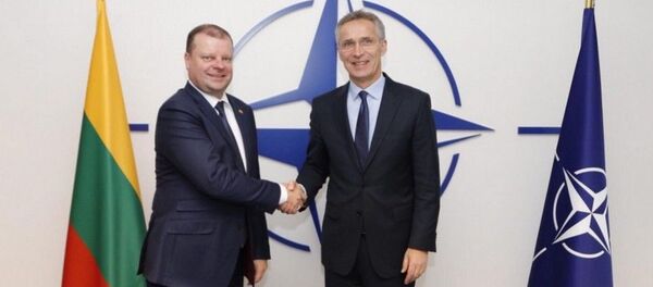 Lietuvos ministras pirmininkas Saulius Skvernelis ir NATO generalinis sekretorius Jensas Stoltenbergas Lietuvos ministras pirmininkas Saulius Skvernelis ir NATO generalinis sekretorius Jensas Stoltenbergas - Sputnik Lietuva