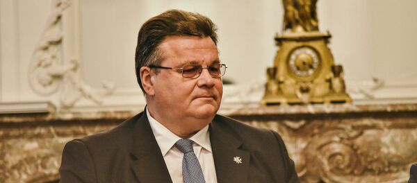 Министр иностранных дел Литвы Линас Линкявичюс Министр иностранных дел Литвы Линас Линкявичюс - Sputnik Lietuva
