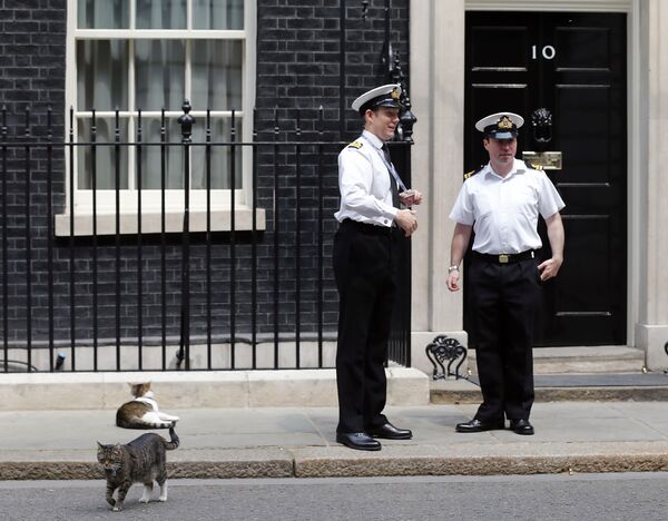 Кот Ларри и кошка Фрейя у резиденции премьер-министров Великобритании - Sputnik Lietuva