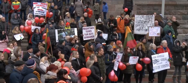 Митинг в Вильнюсе против необоснованного изъятия детей из семей - Sputnik Литва