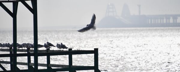 Вид на Керченский пролив с набережной в Керчи, архивное фото - Sputnik Литва