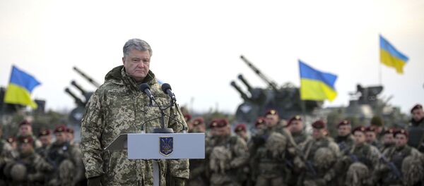 Президент Украины П. Порошенко посетил тактические учения десантно-штурмовых войск в Житомирской области Президент Украины П. Порошенко посетил тактические учения десантно-штурмовых войск в Житомирской области - Sputnik Lietuva