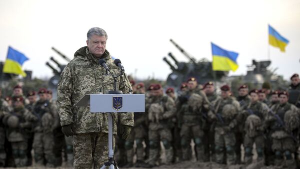 Президент Украины П. Порошенко посетил тактические учения десантно-штурмовых войск в Житомирской области - Sputnik Lietuva
