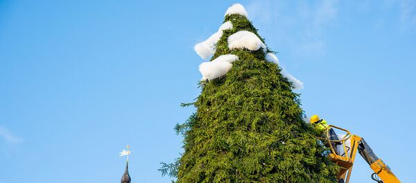 Елка в Каунасе - Sputnik Lietuva