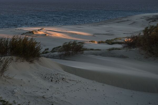 Национальный парк Куршская коса получил сертификат качества TripAdvisor - Sputnik Литва