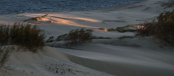 Национальный парк Куршская коса в Калининградской области Национальный парк Куршская коса в Калининградской области - Sputnik Lietuva