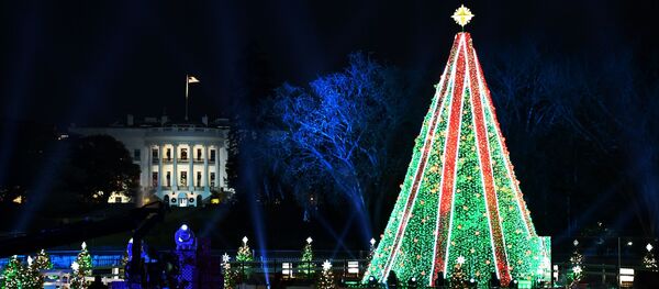 Президент США Дональд Трамп и его супруга Мелания Трамп на торжественной церемонии зажжения Национальной рождественской елке в парке перед Белым домом в Вашингтоне - Sputnik Lietuva