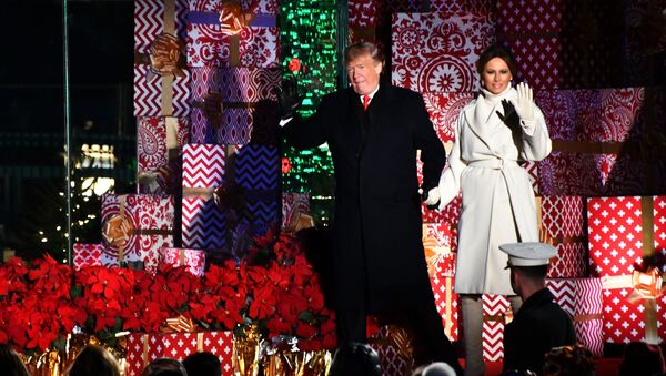 Президент США Дональд Трамп и его супруга Мелания Трамп на торжественной церемонии зажжения Национальной рождественской елке в парке перед Белым домом в Вашингтоне - Sputnik Lietuva