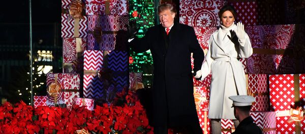 Президент США Дональд Трамп и его супруга Мелания Трамп на торжественной церемонии зажжения Национальной рождественской елке в парке перед Белым домом в Вашингтоне - Sputnik Lietuva