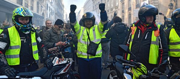 Акции протеста Желтые жилеты во Франции Акции протеста Желтые жилеты во Франции - Sputnik Lietuva