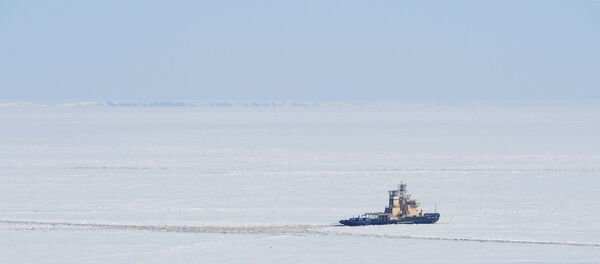 Ледокол в Карском море. - Sputnik Lietuva
