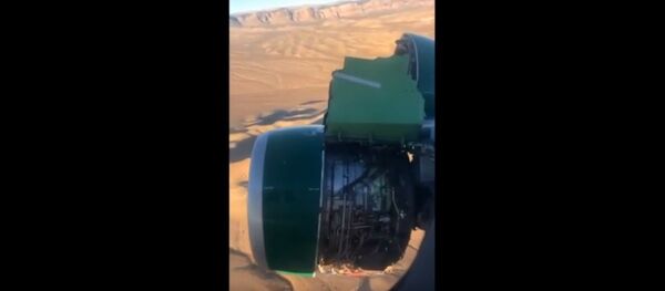 В США самолет потерял обшивку двигателя во время полета - Sputnik Литва