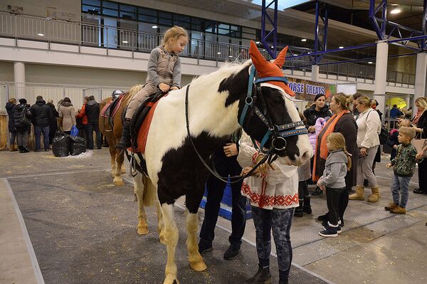 Выставка - шоу породистых лошадей - Sputnik Lietuva