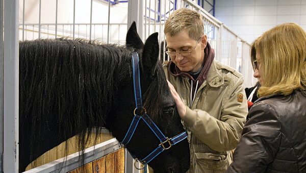Выставка - шоу породистых лошадей - Sputnik Литва